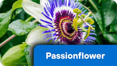 Passionflower ingredient in the supplement